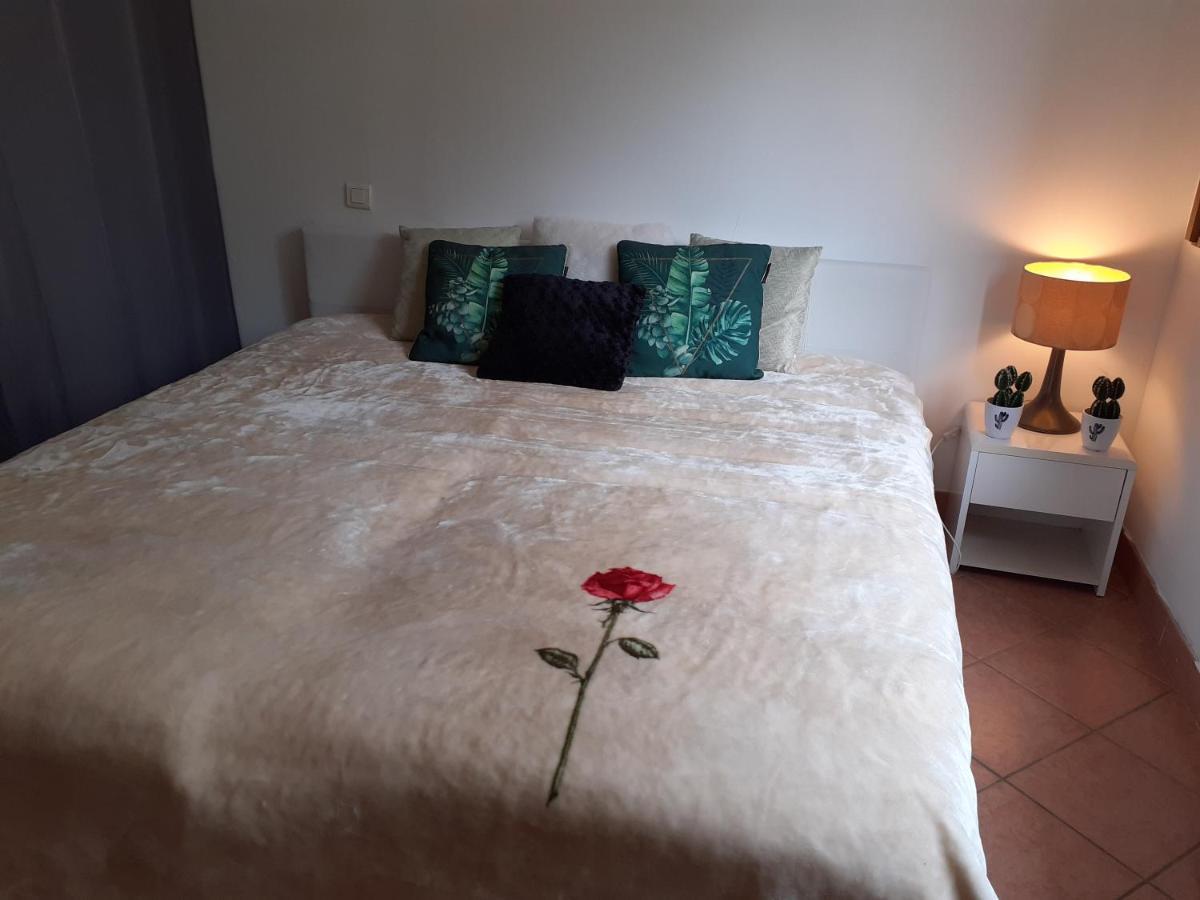 Logement Calme Et Agreable A Proximite D'Ajaccio Canale Экстерьер фото
